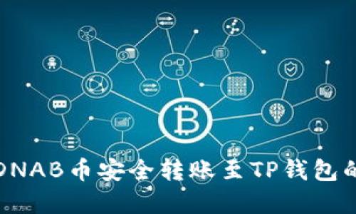 bias元界DNAB币安全转账至TP钱包的详细指南