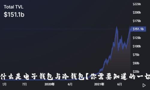 什么是电子钱包与冷钱包？你需要知道的一切