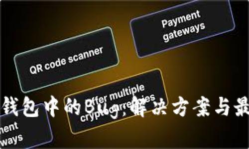 探索TP钱包中的Bug：解决方案与最佳实践