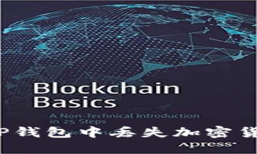 如何解决TP钱包中丢失加密货币的问题？