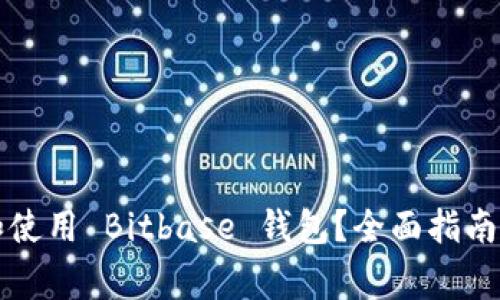 如何安全下载和使用 Bitbase 钱包？全面指南与常见问题解析