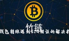 TP钱包转账遇到SIG错误的解决指南